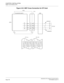 Page 164CHAPTER 2 INSTALLATION
Digital Trunk Interface (DTI)
NEAX2000 IVS2 Installation Procedure ManualPage 138ND-70928 (E), Issue 1.0
Figure 2-54  MDF Cross Connection for DTI Card
PIM 0
JP MDF PN-24DTA/PN-30DTC
AP05
RA
RB
TA
TB17
42
18
4317
42
18
43RA
RB
TA
TBTO CSU LT C 1
RECEIVE
TRANSFER
17 
18 
19 
20RA 
TA42 
43 
44 
45RB 
TB LT C 1  ( J )42 
43 
44 
45RB 
TB17 
18 
19 
20RA 
TA LT C 1  ( P ) 