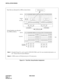 Page 46CHAPTER 2 NDA-24234
Pag e 16
Revision 3.0
INSTALLATION DESIGN
Figure 2-4   Time Slot, Group Number Assignment
Note 1:Extended Group No. can be used by FCH (PA-FCHA) card. For more detailed information, see
the “Fusion Network System Manual.”
Note 2:A PIM consists of 384 physical ports (512 total ports).
00 02 04 05 06 07 08 09 10 11 12 13 14 15 16 17 18 19 20 21 22 23
PIM
192 TS
16
32 TS/Physical ports
161616
1616
161616
32
32
16 32
1616 16
1616
16 16 16 3232 192 TS Slot No.
Number
of
Time Slots
(16)...