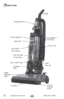 Page 44
Product View
Handle
Powerfoot
Furniture 
Protection 
Guard
Height 
Adjustment 
Knob
Post-Motor   
Filter* 
Lock ’n Seal™ Lever Inner and Outer 
Circular FiltersUpper Tank
Quick Release™ 
Cord Wrap
Power Cord
Primary Separator TurboBrush® Tool
Easy Empty™ 
Dirt Container
Lower 
Filter Cup    