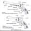 Page 2
FRAME
HAMMER
FIGURE1-
COLT~SINGLEACTIONARMYREVOLVER
FIGURE2-
COLT~SHERIFFSMODEL
WITHBLACKPOWDERFRAME
FRAME
CYLINDER
HAMMER
BARREL
SAFElYDEPENDSONYOU 