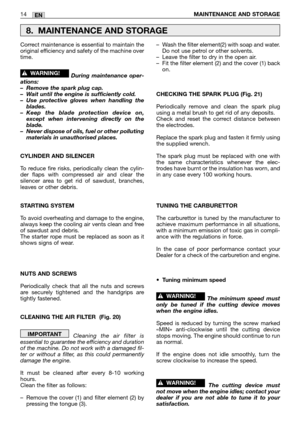 Page 217Correct maintenance is essential to maintain the
original efficiency and safety of the machine over
time.
During maintenance oper-
ations:
–Remove the spark plug cap.
–Wait until the engine is sufficiently cold.
–Use protective gloves when handling the
blades.
–Keep the blade protection device on,
except when intervening directly on the
blade.
–Never dispose of oils, fuel or other polluting
materials in unauthorised places.
CYLINDER AND SILENCER
To reduce fire risks, periodically clean the cylin-
der...