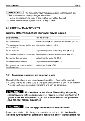 Page 42This connector must only be used for connection to the
CB01 maintenance battery-charger. For its use:
– follow the instructions given in the relative instruction booklet,
– follow the instructions given in the battery booklet.
6.3 CHECKS AND ADJUSTMENTS
Summary of the main situations where work may be required
6.3.1 D
ISMANTLING, SHARPENING AND BALANCING BLADES
Check that the blade is sharpened properly and firmly fixed to the bracket.
– A badly sharpened blade pulls at the grass and causes the lawn to...