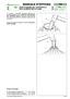 Page 48© by GLOBAL GARDEN PRODUCTS
72
6.6.0- SOSTITUZIONE DEL SUPPORTO E
DELL’ALBERO DELLA LAMA


2 / 2
MANUALE D’OFFICINA
paginadal 
1998al  ••••
3/2002
to, montare il cuscinetto superiore utilizzando la
bussola apposita # Cod. 60800030/0 
(13) che agi-
sce sull’anello interno
, battendo uniformemente
con una mazzuola fino al completo inserimento del
cuscinetto.
Montare il supporto flangiato sul piatto, 
serrando a
fondo i dadi (5)
. 
Coppie di serraggio
3Vite fissaggio puleggia lama  ............ 25 ÷...