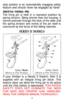 Page 12
stop position is an automatically engaging safety

feature and should never be engaged by hand!

INERTIA FIRING PIN

The firing pin is held in a rearward position by

spring tension. Being shorter than the housing, it

cannot protrude through the face of the slide until

the spring tension and inertia of the pin itself is

overcome by the force of the falling hammer.

SERIES II MODELS

Safety Mech.

(Shown in Fire Position) 
Safety Mech.

(Shown in Fire Position)

If your Kimber is a Series II firearm,...