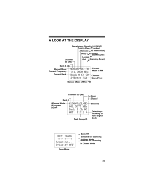 Page 2323
A LOOK AT THE DISPLAY
Manual ModeCurrent 
Manual Mode (AM or FM)
Channel
Stored Text
Current Frequency
Current BankMode is FM Receiving a Signal (
• no signal)
Priority Freq. (T)runked
Attenuate (
• no attenuation)
Delay (
• no delay)
Locked ( 
Out
(  Scanning Up)
Scanning Down)
Bank 0–(9)Out
Channel
00–(49)
Motorola(M)anual Mode
Bank 1
Channel 00–(49)
(P)rogram
(S)can(+) Open
(–) Closed
Detecting a 
Trunking or
Talk Group IDTone Signal
Code
Scan Mode
• Bank Off
+ Selected for Scanning
in Open Mode
–...