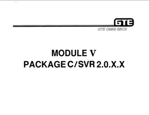 Page 533MODULE V
PACKAGE WSVR 2.0.X.X 