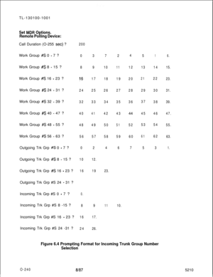 Page 244TL-130100-1001Set MDW Options.
Remote Polling Device:Call Duration (O-255 
set) ?
Work Group 
#S 0 - 7 ?
Work Group 
#S 8 - 15 ?
Work Group 
#S 16 - 23 ?
Work Group 
#S 24 - 31 ?
Work Group 
#S 32 - 39 ?
Work Group 
#S 40 - 47 ?
Work Group 
#S 48 - 55 ?
Work Group 
#S 56 - 63 ?
Outgoing Trk Grp 
#S 0 - 7 ?
Outgoing Trk Grp 
#S 8 - 15 ?
Outgoing Trk Grp 
#S 16 - 23 ?
Outgoing Trk Grp #S 24 
- 31 ?
Incoming Trk Grp #S 0 
- 7 ?
Incoming Trk Grp #S 8 -15 ?
Incoming Trk Grp #S 16 
- 23 ?
Incoming Trk Grp #S...