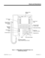 Page 87Figure 1-1,  SUPER DISPLAY TELEPHONE (Page 2 of 2)
(920/922 Series Shown)
(TRFR)CONFVOL DNDMICMW*
4
7 1
0 5
8 2
6
9 3GHI
PRS
OPERJKL
TUV ABC
MNO
WXYDEF
DC CL 1
FLSH CL 2
LND SPK
HOLD
#
CHECKDI GI TA LCLEAR
9200 - 109
1
9
172
10
183
11
194
12
205
13
216
14
227
15
238
16
24
Alphanumeric
Display
One Touch
Keys
Dual Line
Appearance Keys Programmable
Function Keys
Abbreviated Dialing
Speakerphone
Last Number Redial Flash
Handsfree, Handset,
Page and BGM Volume Control Do Not DisturbMicrophone
Cutoff One...