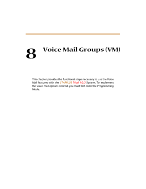 Page 3188
Voice Mail Groups (VM)
This c hapter  provides the  func tional  steps  nec essary to use the Voic e
Mail features with the STARPLUS Triad 1/2/3 Syste m. To implement
the  voice  mail  options desired, you must first enter the Programming
Mo d e . 