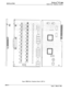 Page 200INSTALLATIONSTARPLUS @ SPD 4896
Digital Key Telephone System
+sv
-5V
)\
#
dlin” //
Figure 500-8 Key Teiephone Board (KTI 2)500-l 2
issue 1, March 1994 