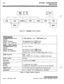 Page 238:
Q-4SYSTEM CONFIGURATION
Optional Boards
Basic 
$ p
KSU u u
EI EKSU
B
g,:.;?; ‘,I..::. . . . . ;:
I
--.
CKIBCSIBDTMF4-AMISBMODUCKIBCSIB
IMSGUMSGU
Figure 9-1: Starplus Triad-S SystemBKSU 
Caoacity
CO/PBWCentrex Lines:
Station:
Digital Terminal:
Single Line Telephone:
BKSU + EKSU Capacity
COlPBWCentrex Lines:
Station:
Digital Terminal:
Single line Telephone:
DTMF Receiver6 lines maximum (3 per 
CKIBESIB board)
16 maximum (8 per 
CKIB board)
8 maximum (8 per 
CSIB board)
12 lines maximum32 maximum (8 per...