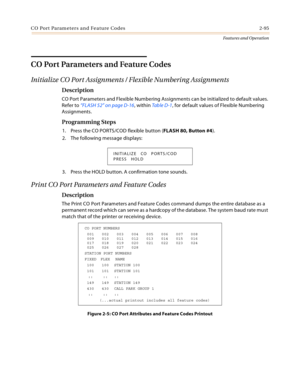 Page 115CO Port Parameters and Feature Codes 2-95
Features and Operation
CO Port Parameters and Feature Codes
Initialize CO Port Assignments / Flexible Numbering Assignments
Description
CO Port Parameters and Flexible Numbering Assignments can be initialized to default values. 
Refer to “FLASH 52” on page D-16, within Tab le  D - 1, for default values of Flexible Numbering 
Assignments.
Programming Steps
1. Press the CO PORTS/COD flexible button (FLASH 80, Button #4).
2. The following message displays:
3. Press...