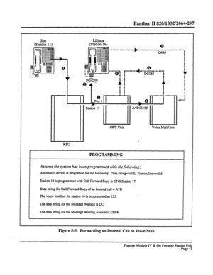 Page 46Panther II 820/1032/2064-297 
Sue 
(Station 11) Liliana 
(Station 16) 
. . . . . . ..a.......... 
ONS Unit Voice Mail Unit 
 
KSU 
PROGRAMMING 
Assume the system has been programmed with the following: 
Aummatic Access is programed for the following: Data string=valid; Station/Xne=valid 
Station 16 is programmed with Call Forward Busy to ONS Station 17 
Data string for Call Forward Busy of an internal call = A*D 
The voice mailbox for station 16 is programmed as 155 
The data string for the Message...