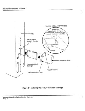 Page 53Trillium Standard Practice 
KSU 
Port for Feature 
Module II Cartridge 
FEATURE MODULE II CARTRIDGE 
it securely into the pot-~ on the KSU. 
Protective Casing 
Feature Module II 
Cartridge 
 
Flange for screws 
Plastic Expansion Plugs 
Figure 2-I Installing the Feature Module II Cartridge 
Feature Module II & Options Interface Hardware 
Page 4  