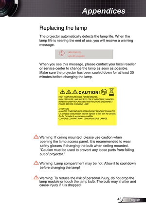 Page 43
43English

Appendices

 Replacing the lamp
The projector automatically detects the lamp life. When the 
lamp life is nearing the end of use, you will receive a warning 
message.
When you see this message, please contact your local reseller 
or service center to change the lamp as soon as possible. 
Make sure the projector has been cooled down for at least 30 
minutes before changing the lamp. 
 Warning: Lamp compartment may be hot! Allow it to cool down 
before changing the lamp!
 Warning: To reduce the...