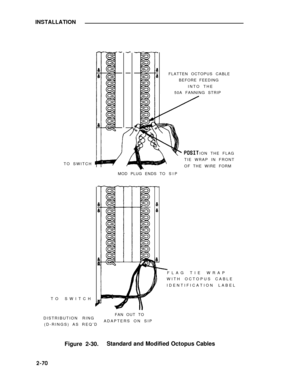 Page 94INSTALLATION
TO SWITCH 
TO SWITCH 
DISTRIBUTION RINGFLATTEN OCTOPUS CABLE
BEFORE FEEDING
INTO THE
50A FANNING STRIP
ION THE FLAG
MOD PLUG ENDS TO
FAN OUT TO
(D-RINGS) AS REQ’DADAPTERS ON SIPTIE WRAP IN FRONT
OF THE WIRE FORM
SIP
 FLAG TIE WRAP
WITH OCTOPUS CABLE
IDENTIFICATION LABEL
Figure 2-30.Standard and Modified Octopus Cables
2-70 