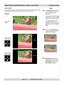 Page 57page 4.15        105-681B January 2007
Digital Projection LIGHTNING 30sx+m, 40sx+m User Manual 4. Using the menus
Notes
The Input adjust controls allow
you to select which portion of
the video image is to be
displayed.
These controls DO NOT change
the position or size of the whole
image on the projection screen.
To change the position or size
of the whole image on the
projection screen, use the Move
and Zoom controls in the Lens
menu.
Note how the Input window
controls change the size of the
window, not...