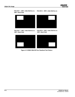 Page 504-12CP2230 User Manual020-100430-07 Rev. 1 (05-2014)
Adjust the Image
 Figure 4-12 RGB-12bit-3D Four Quadrant Test Pattern
FRAME 1 - 100% white field box in 
100% black field FRAME 2 - 100% white field box in 
FRAME 3 - 100% white field box in 
100% black field FRAME 4 - 100% white field box in 
100% black field 