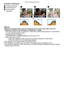 Page 65- 65 -
Advanced (Recording pictures)
Examples of histogramNote

When the recorded picture and the hi stogram do not match each other under the 
following conditions, the histogram is displayed in orange.
–When the manual exposure assistance is other than [ n0EV] during exposure compensation 
or in the manual exposure mode
–When the flash is activated–In [STARRY SKY] or [FIREWORKS] in scene mode  (P96)–When the flash is closedWhen the brightness of the screen is not correctly displayed in dark placesWhen...