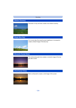 Page 124- 124 -
Recording
[Distinct Scenery]
Saturation of sky and trees creates more distinct scenery.
[Bright Blue Sky]
On a sunny day, the overall screen brightness is increased to 
create a vibrant image of the blue sky.
[Romantic Sunset Glow]
The enhanced purple tone creates a romantic image of the sky 
just after sunset.
[Vivid Sunset Glow]
Red is enhanced to create a vivid image of the sunset. 