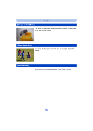 Page 129- 129 -
Recording
[Freeze Animal Motion]
The faster shutter speed prevents blur and captures a clear image 
of the fast moving animal.
[Clear Sports Shot]
The faster shutter speed prevent s blur, for example at sporting 
events.
[Monochrome]
A monochrome image captures the mood of the moment. 