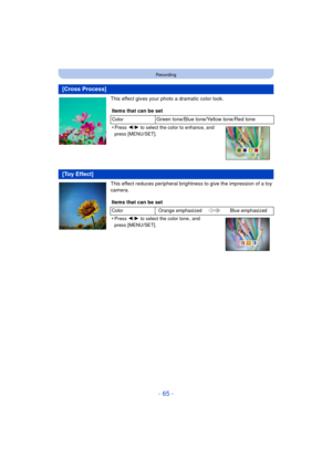 Page 65- 65 -
Recording
This effect gives your photo a dramatic color look.
This effect reduces peripheral brightness to give the impression of a toy 
camera.
[Cross Process]
Items that can be set
ColorGreen tone/Blue tone/Yellow tone/Red tone
•
Press  2/1  to select the color to enhance, and 
press [MENU/SET].
[Toy Effect]
Items that can be set
Color Orange emphasized Blue emphasized
•Press 2/1 to select the color tone , and 
press [MENU/SET]. 