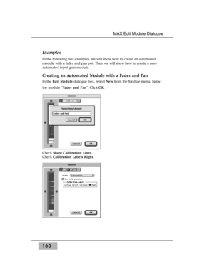 Page 169Examples
In the following two examples, we will show how to create an automated
module with a fader and pan pot. Then we will show how to create a non-
automated input gain module.
Creating an Automated Module with a Fader and Pan
In the Edit Module dialogue box, Select New from the Module menu. Name
the module “Fader and Pan”. Click OK.
Check Show Calibration Lines. 
Check Calibration Labels Right.
160
MAX Edit Module Dialogue  