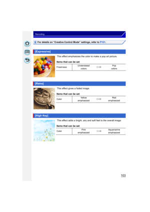 Page 103103
Recording
For details on “Creative Control Mode” settings, refer to P101.
This effect emphasizes the color to make a pop art picture.
This effect gives a faded image.
This effect adds a bright, airy and soft feel to the overall image.
[Expressive]
Items that can be set
Freshness Understated 
colors Pop 
colors
[Retro]
Items that can be set
Color Yellow 
emphasized Red 
emphasized
[High Key]
Items that can be set
Color Pink 
emphasized Aquamarine 
emphasized 