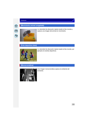 Page 100100
Grabación
[Movimiento animal congelado]
La velocidad de obturación rápida impide la foto movida y 
captura una imagen del animal en movimiento.
[Foto deportiva clara]
La velocidad de obturación rápida impide la foto movida, por 
ejemplo en eventos deportivos.
[Monocromática]
Una imagen monocromática captura el ambiente del 
momento. 