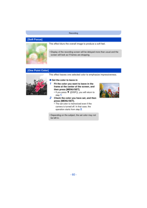 Page 60- 60 -
Recording
This effect blurs the overall image to produce a soft feel.
This effect leaves one selected color to emphasize impressiveness.
[Soft Focus]
•Display of the recording screen will be delayed more than usual and the 
screen will look as if frames are dropping.
[One Point Color]
∫Set the color to leave in
1Fit the color you want to leave in the 
frame at the center of the screen, and 
then press [MENU/SET].
•
If you press  4 ([DISP.]), you will return to 
step 
1.
2Check the color you have...