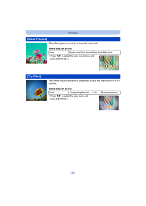 Page 65- 65 -
Recording
This effect gives your photo a dramatic color look.
This effect reduces peripheral brightness to give the impression of a toy 
camera.
[Cross Process]
Items that can be set
ColorGreen tone/Blue tone/Yellow tone/Red tone
•
Press  2/1  to select the color to enhance, and 
press [MENU/SET].
[Toy Effect]
Items that can be set
Color Orange emphasized Blue emphasized
•Press 2/1 to select the color tone , and 
press [MENU/SET]. 