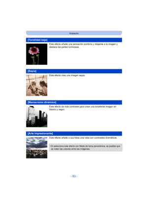 Page 63- 63 -
Grabación
Este efecto añade una sensación sombría y relajante a la imagen y 
destaca las partes luminosas.
Este efecto crea una imagen sepia.
Este efecto da más contraste para crear una excelente imagen en 
blanco y negro.
Este efecto añade a sus fotos una vista con contrastes dramáticos.
[Tonalidad baja]
[Sepia]
[Monocromo dinámico]
[Arte impresionante]
•Si selecciona este efecto con Modo de toma panorámica, es posible que 
se noten las uniones entre las imágenes. 