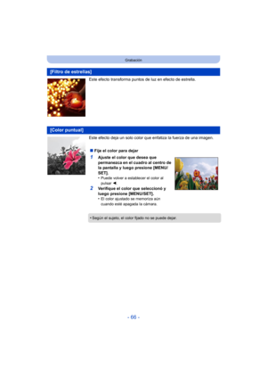 Page 66- 66 -
Grabación
Este efecto transforma puntos de luz en efecto de estrella.
Este efecto deja un solo color que enfatiza la fuerza de una imagen.
[Filtro de estrellas]
[Color puntual]
∫Fije el color para dejar
1Ajuste el color que desea que 
permanezca en el cuadro al centro de 
la pantalla y luego presione [MENU/
SET].
•
Puede volver a establecer el color al 
pulsar  2.
2Verifique el color que seleccionó y 
luego presione [MENU/SET].
•
El color ajustado se memoriza aún 
cuando esté apagada la cámara....