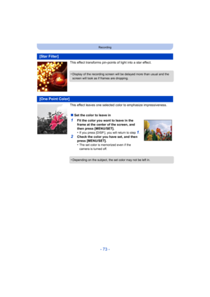 Page 73- 73 -
Recording
This effect transforms pin-points of light into a star effect.
This effect leaves one selected color to emphasize impressiveness.
[Star Filter]
•Display of the recording screen will be delayed more than usual and the 
screen will look as if frames are dropping.
[One Point Color]
∫ Set the color to leave in
1Fit the color you want to leave in the 
frame at the center of the screen, and 
then press [MENU/SET].
•
If you press [DISP.], you will return to step 1.
2Check the color you have...