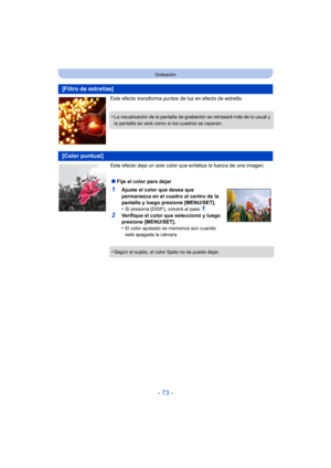Page 73- 73 -
Grabación
Este efecto transforma puntos de luz en efecto de estrella.
Este efecto deja un solo color que enfatiza la fuerza de una imagen.
[Filtro de estrellas]
•La visualización de la pantalla de grabación se retrasará más de lo usual y 
la pantalla se verá como si los cuadros se cayeran.
[Color puntual]
∫Fije el color para dejar
1Ajuste el color que desea que 
permanezca en el cuadro al centro de la 
pantalla y luego presione [MENU/SET].
•
Si presiona [DISP.], volverá al paso 1.
2Verifique el...