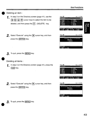Page 43