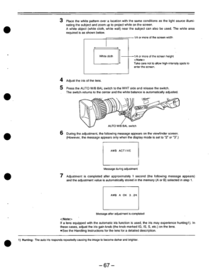 Page 67