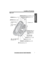 Page 7Preparation
For assistance, please call: 1-800-211-PANA(7262)7
Location of Controls
Base unit  
Display (p. 7)NEW MESSAGE 
Indicator (p. 24)
MIC (Microphone) (p. 15) [STOP] Button 
(p. 15, 24)
[ERASE] (p. 16, 25)
[LOCATOR/INTERCOM] (p. 16)
VOL. (VOLUME) [  ], [  ]  
(p. 16, 15)
Charge Contacts 
(p. 11)
[GREETING REC] (Record) (p. 15)
[REPEAT] (p. 24)
[SKIP] 
Button  (p. 24)
[GREETING CHECK] (p. 16)
CHARGE Indicator 
(p. 10)
CHARGE Indicator 
(p. 10)
VOL.  (VOLUME) Button  
[ < ],  [> ] (p. 16)
MIC...