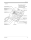 Page 23DPT Overview
User Manual23
KX-T7431
AUTO DIAL/STORE Button
AUTO ANSWER/MUTE Button
FLASH Button
Jog Dial REDIAL Button
HOLD Button
SP-PHONE Button
Microphone
Flexible CO Buttons
(Outside lines 01 through 12)
PROGRAM Button
FWD/DND Button
CONF Button
INTERCOM Button
SELECT Button
MODE Button
MESSAGE Button         PAUSE Button
TRANSFER Button
Display (Liquid Crystal Display)
With 16-character/1-line readout:
Shows the date, time, dialed number or name, 
call duration time, etc.  In Programming mode, 
it...