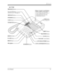 Page 27DPT Overview
User Manual27
KX-T7230
PROGRAM Button
Flexible CO Buttons
(Outside lines 01 through 24)
MESSAGE Button
FWD/DND Button
CONF Button
INTERCOM Button
REDIAL Button
FLASH Button
HOLD Button
Microphone
SP-PHONE ButtonSHIFT Button
TRANSFER Button
PAUSE Button
VOLUME Control Button
AUTO DIAL/STORE Button
AUTO ANSWER/MUTE Button Soft Buttons
(S1 through S3)
with 16-characters/2-line readout:
Shows the date, time, dialed number or
 name, call duration time, etc.  In
Programming mode, it shows the...