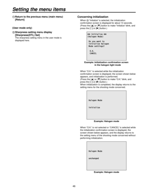 Page 4646
  Return to the previous menu (main menu) 
[Return]
(User mode only)
   Sharpness setting men u displa
 y  
[Sharpness(DTL) Set]
The sharpness setting menu in the user mode is 
displayed here.
Concerning initialization
When  “Initialize” is selected, the initialization 
confirmation screen is displayed for about 10 seconds.
(Press the [] or [] button to make “Initialize” blink, and 
press the [] or [] button.)
 Initialize (Halogen Mode)
 Do you want to initialize Halogen Mode settings?...