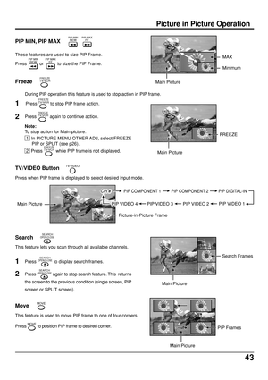 Page 4343
Picture in Picture Operation
PIP MIN, PIP MAX
Freeze
These features are used to size PIP Frame.
Press PIP MINREW or 
PIP MAXFF to size the PIP Frame.
During PIP operation this feature is used to stop action in PIP frame.
PIP MINREWPIP MAXFF
FREEZETV/VCR
Press FREEZETV/VCR again to continue action. Press 
FREEZETV/VCR to stop PIP frame action.
 1  In PICTURE MENU OTHER ADJ, select FREEZE
PIP or SPLIT (see p26).
 2  Press FREEZETV/VCR while PIP frame is not displayed.
1
2
Note:
To stop action for Main...