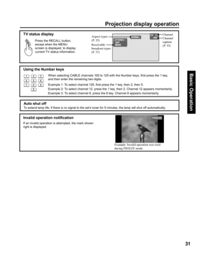 Page 3131
Basic Operation
  Auto shut off
To extend lamp life, if there is no signal to the set’s tuner for 5 minutes, the lamp will shut off automatically.
Aspect types 
(P. 32)
Receivable 
broad cast  types 
(P. 37)Channel
Channel 
caption 
(P. 53)  TV status display
Using the  Number keys
Example 1: To select channel 125, ﬁ 
rst press the 1 key, then 2, then 5. When selecting CABLE channels 100 to 125 with the Number keys, ﬁ 
rst press the 1 key, 
and then enter the remaining two digits. Press the RECALL...