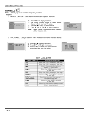 Page 2826 l
ICON MENU OPERATION
CHANNELS 
Note:Refer to page 19 for Icon Menu Navigation procedures.
   Caption
rMANUAL CAPTION - Enter channel numbers and captions manually.  
rINPUT LABEL - Lets you label the video input connections for onscreen display.  
  
INPUT LABEL CHART
PRESET LABELSREASON FOR SELECTING
VCRSelect when VCR is connected to video input.
DVDSelect when DVD is connected to video input.
SKIPSelect to skip unused video input when
 pressing TV/VIDEO button.
CABLESelect when CABLE box is...