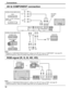 Page 1212
SLOT2 SLOT3 SLOT1
VIDEO INVIDEO OUTPR/CR/R PB/CB/BY/GAUDIORLCOMPONENT/RGB INAUDIO
INRLS VIDEO IN
PC    IN
VIDEO
OUTVIDEO IN
S VIDEO
OUT
AUDIO
OUT RL
AUDIO
OUT Y,   P
B,  PR,
OUT
RR
PB
Y
L
R
COMPONENT VIDEO OUT
AV & COMPONENT connection
Connections
VIDEO INVIDEO OUTPR/CR/R PB/CB/BY/GAUDIORL
COMPONENT/RGB IN
DVD
ComputerRGB Camcorder
or Notes:
•  Change the “COMPONENT/RGB-IN SELECT” setting in the “SET UP” menu to “COMPONENT”. (see page 36)
•  Additional equipment, cables and adapter plugs shown are not...