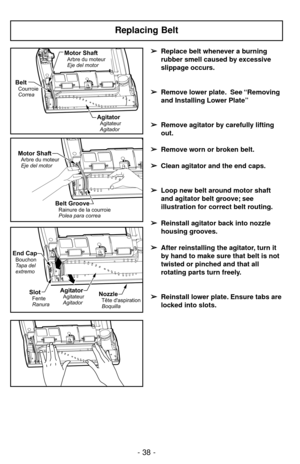 Page 38- 38 -
Replacing Belt
AgitatorAgitateur
Agitador
BeltCourroie
Correa
Motor ShaftArbre du moteur
Eje del motor
Motor ShaftArbre du moteur
Eje del motor
Belt Groove
Polea para correa Rainure de la courroie
End CapBouchon
Ta p a d e l
extremo
SlotFente
RanuraNozzleTête daspiration
Boquilla
AgitatorAgitateur
Agitador
➢ ➢
Replace belt whenever a burning
rubber smell caused by excessive
slippage occurs.
➢ ➢
Remove lower plate. See “Removing
and Installing Lower Plate”
➢ ➢
Remove agitator by carefully lifting...