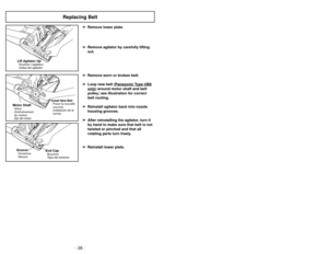 Page 28- 28 -- 17 -
Replacing Belt 
➢
➢
Remove lower plate.
➢
➢ Remove agitator by carefully lifting
out.
+
Lift Agitator UpSoulever l’agitateur
Inidad del agitador
+
End CapBouchon
Tapa del extremo
GrooveOuverture
Ranura
+
Install New Belt Poser la nouvelle
courroie
Instalaciòn de la
correa
Motor ShaftArbre
dentraînement
du moteur
Eje del motor
➢ ➢ Remove worn or broken belt.
➢
➢ Loop new belt (Panasonic T
ype UB8
only
) around motor shaft and belt
pulley; see illustration for correct
belt routing.
➢ ➢...