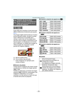 Page 75- 75 -
Avanzadas (Grabar imágenes)
Pulse [ ] para visualizar el menú del modo 
[REC] y seleccione el elemento para ajustar. 
(P71)
Una imagen digital está formada por muchos 
puntos llamados píxeles. Aunque no puede 
notar la diferencia en la pantalla de la 
cámara, cuanto más son los píxeles tanto 
más fina será la imagen al imprimirla en una 
hoja de papel o al visualizarla en el monitor 
de un ordenador. La calidad de la imagen se 
refiere al grado de compresión cuando 
guarda las imágenes digitales....