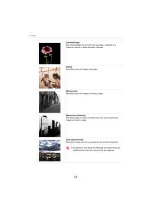 Page 734. Cámara
73
[Tonalidad baja]
Este efecto agrega una sensación de oscuridad y relajación a la 
imagen en general y realza las partes brillantes.
[Sepia]
Este efecto crea una imagen color sepia.
[Monocromo]
Este efecto crea una imagen en blanco y negro.
[Monocromo dinámico]
Este efecto logra un mayor contraste para crear una impresionante 
i
 magen en blanco y negro.
[Arte impresionante]
Este efecto otorga a su foto una apariencia de contraste dramático.
≥Si selecciona este efecto con Modo de toma...