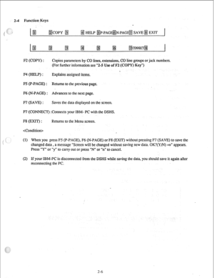 Page 15unction Keys 
@JJcopy @ 
f# HELP ~P-PAG@$JN-~AGE@ SAVE @ EXIT 
I 
F2 (COPY) : Copies parameters by CO lines, extensions, CO line groups or jack numbers. 
(For further information see “2-5 Use of F2 (COPY) 
. 
F4 (HELP) : Explains assigned items. 
FS (P-PAGE) : Returns to the previous page. 
(N-PAGE) : Advances to the next page. 
F7 (SAVE) : Saves the data displayed on the screen. 
FI (CONNECT) :Connects your IBM- PC with the DSHS. 
F8 (EXIT) : 
 Returns to the Menu screen. 
(1) When you press F5...